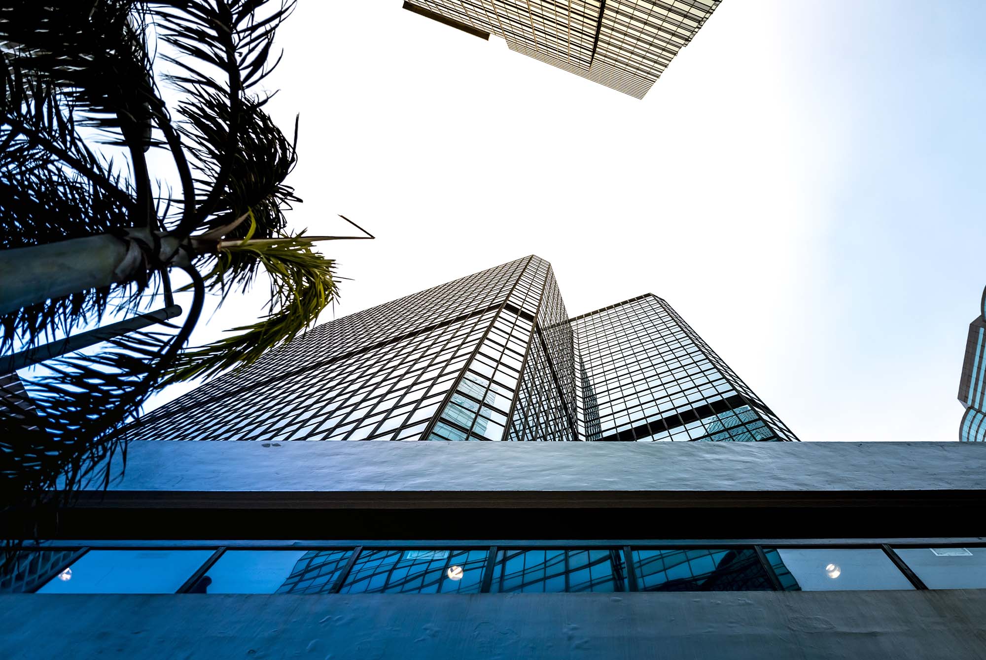 2025年12月期 第３四半期決算短信のお知らせ